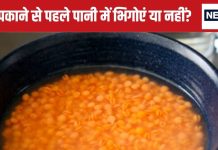 क्या दाल को पकाने से पहले पानी में भिगोना चाहिए? करेंगे ऐसा तो होंगे ये बड़े फायदे, पाचन भी होगा दुरुस्त
