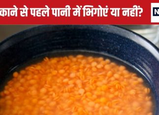 क्या दाल को पकाने से पहले पानी में भिगोना चाहिए? करेंगे ऐसा तो होंगे ये बड़े फायदे, पाचन भी होगा दुरुस्त