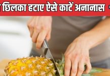 क्या आपको अनानास काटने में होती है परेशानी? इस सिंपल ट्रिक से काट लेंगे झटपट, छिलका हटाने की भी नहीं पड़ेगी जरूरत