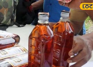 शराब की लत छुड़ाएगा ये खास देशी चूर्ण, एक्सपर्ट ने सुझाया असरदार तरीका