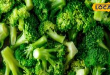 कैंसर को रोकने में कारगर है यह फूल वाली हरी सब्जी, सेहत के लिए पावर हाउस; जानें इसके फायदे