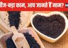 चींटी जितने छोटे बीज, एंटीबायोटिक जैसा काम ! बैक्टीरिया का कर देंगे अंत, किचन में रख लें तुरंत
