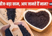 चींटी जितने छोटे बीज, एंटीबायोटिक जैसा काम ! बैक्टीरिया का कर देंगे अंत, किचन में रख लें तुरंत