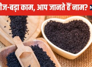 चींटी जितने छोटे बीज, एंटीबायोटिक जैसा काम ! बैक्टीरिया का कर देंगे अंत, किचन में रख लें तुरंत