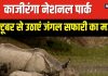 अक्टूबर से फिर खुल रहा काजीरंगा नेशनल पार्क, जंगल सफारी और एक सींग वाले गैंडों के लिए है फेमस, ये रही पूरी जानकारी
