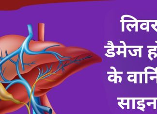 10 संकेतों से समझ जाइए कि लिवर की दरकने लगी है क्षमता, आपका यकृत न हो कमजोर, इसलिए तुरंत कर लीजिए ये काम