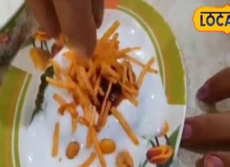 Navratri Special Chaat Recipe: नवरात्रि में साबूदाना खिचड़ी नहीं, ट्राई करें इस चाट की झटपट और आसान रेसिपी