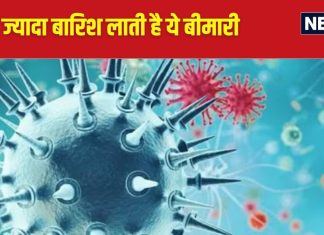 Explainer: देश भर में क्यों बढ़ रहे हैं स्वाइन फ्लू के मामले, क्या हैं इसके लक्षण… किसको ज्यादा खतरा