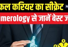 नौकरी या बिजनेस! क्या होगा आपके लिए बेस्ट करियर? भाग्यांक-मूलांक से चुनें अपना सही प्रोफेशन – Bharat.one हिंदी