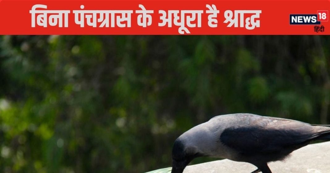 Pitru paksha 2024: बिना पंचग्रास के अधूरा रहता है श्राद्ध, जानें इसकी सही विधि और लाभ