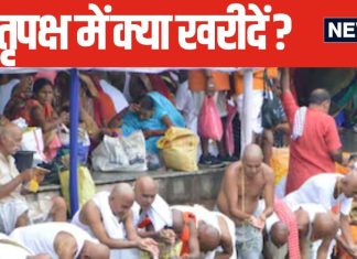 पितृ पक्ष में पितरों के लिए करें 5 चीजों की खरीदारी, पूर्वज खुश होकर देंगे आशीर्वाद, बनने लगेंगे सारे काम!