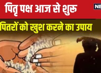 Pitru Paksha 2024 Upay: पितृ पक्ष में जरूर करें यह पाठ, आपके पितर होंगे खुश, पूरे परिवार की होगी उन्नति!