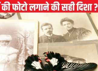 Pitru Paksha 2024: इस दिशा में पितरों की फोटो लगाकर न करें पूजा, घर में बढ़ेगा क्लेश, आर्थिक नुकसान भी होगा !