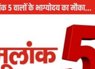 Pitru Paksha 2024: पंचमी श्राद्ध आज, मूलांक 5 वाले पा सकते हैं पितृ और कालसर्प दोष से मुक्ति, जानें उपाय