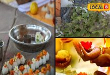 Pitru Paksha 2024: पितृ पक्ष में जरूर करें तुलसी का उपयोग, खत्म हो जाएगा सारा दोष