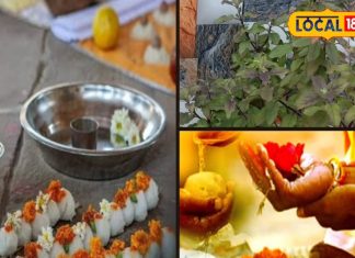 Pitru Paksha 2024: पितृ पक्ष में जरूर करें तुलसी का उपयोग, खत्म हो जाएगा सारा दोष