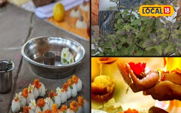 Pitru Paksha 2024: पितृ पक्ष में जरूर करें तुलसी का