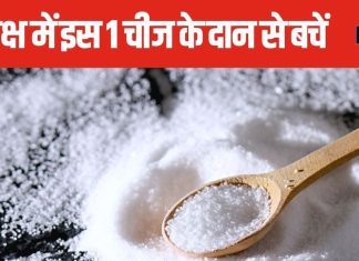 Pitru Paksha 2024: पितृ पक्ष में भूलकर भी नहीं करें इस सफेद चीज का दान, जानिए क्या है कारण