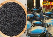 Pitru Paksha 2024: पितृपक्ष में क्या करें और क्या ना? गलती की तो अधूरी रह जाएगी श्राद्ध की पूजा