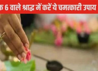 Pitru Paksha 2024: षष्ठी श्राद्ध आज, मूलांक 6 वाले पा सकते पितृ और कालसर्प दोष के साथ कष्टों से मुक्ति, जानें उपाय
