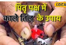 Pitru Paksha Remedies: पितृपक्ष में कर लें बस ये काम, सात पीढ़ियां रहेंगी खुश, खूब बरसेगा धन!