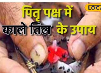 Pitru Paksha Remedies: पितृपक्ष में कर लें बस ये काम, सात पीढ़ियां रहेंगी खुश, खूब बरसेगा धन!