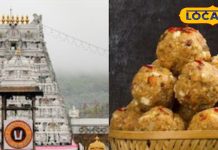 Prasad Vivad: देश के मंदिरों में लागू हो नई प्रसाद व्यवस्था, काशी विद्वत परिषद ने की पहल, जानें क्या है विकल्प