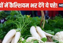 यह सब्जी तो सब्जी, इसके पत्ते भी बेहद करामाती, हड्डियां होंगी मजबूत, स्किन पर आएगा गजब का निखार