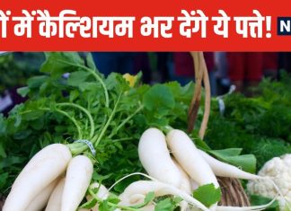 यह सब्जी तो सब्जी, इसके पत्ते भी बेहद करामाती, हड्डियां होंगी मजबूत, स्किन पर आएगा गजब का निखार
