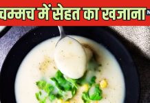 पका तो खूब खाया होगा, पर ट्राई करें ये फल कच्चा, बुढ़ापे में भी दिल हो जाएगा बच्चा, नोट करें इसके सूप की रेसिपी