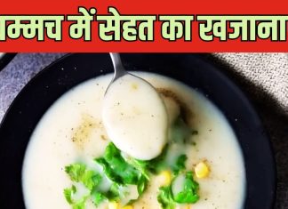 पका तो खूब खाया होगा, पर ट्राई करें ये फल कच्चा, बुढ़ापे में भी दिल हो जाएगा बच्चा, नोट करें इसके सूप की रेसिपी