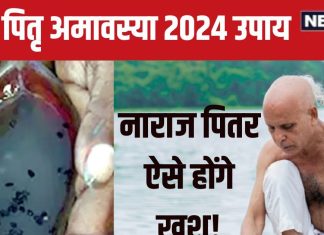 Sarva Pitru Amavasya 2024: सर्वार्थ सिद्धि योग में सर्व पितृ अमावस्या, 5 आसान उपायों से नाराज पितर होंगे खुश, देखें मुहूर्त