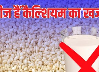 दूध से ज्यादा कैल्शियम किसमें होता है? इन छुटकइंया बीजों में… इसके आगे फेल है पूरी डेयरी