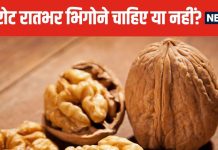 बादाम ही नहीं, अखरोट को भी भिगोकर खाएं ! शरीर को मिलेगी फौलादी ताकत, छूमंतर होगी पेट की गैस