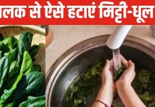 рд╕рдлрд╛рдИ рдХреЗ рдмрд╛рдж рднреА рдХрд┐рдЪ-рдХрд┐рдЪ рдХрд░рддрд╛ рд╣реИ рдкрд╛рд▓рдХ? рдЗрд╕ рд╕рд┐рдВрдкрд▓ рдЯреНрд░рд┐рдХ рд╕реЗ рдЪрдХрд╛рдЪрдХ рд╣реЛрдВрдЧреА рд╣рд░реА рдкрддреНрддрд┐рдпрд╛рдВ, рдорд┐рдирдЯреЛрдВ рдореЗрдВ рд╕рдмреНтАНрдЬреА рд╣реЛрдЧреА рдХреНтАНрд▓реАрди