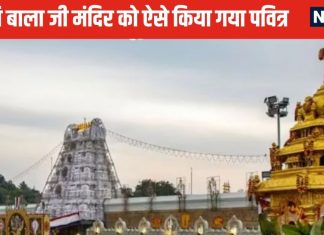 तिरुपति बाला जी मंदिर में मिला चर्बी वाला लड्डू, पवित्र करने के लिए हुआ इस तरह शुद्धिकरण, जानें महत्व