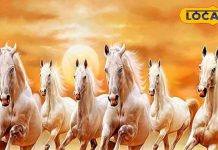 Vastu Tips: किस दिशा में लगाना चाहिए दौड़ते हुए 7 घोड़ों की तस्वीर? जानें क्या कहता है वास्तु शास्त्र?