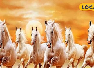 Vastu Tips: किस दिशा में लगाना चाहिए दौड़ते हुए 7 घोड़ों की तस्वीर? जानें क्या कहता है वास्तु शास्त्र?