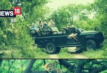 यूपी में भी ले सकते हैं बीच और जंगल सफारी का मजा, जानें एंट्री फीस से लेकर बुकिंग तक सारी जानकारी