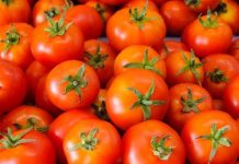 मानसून में खा रहे हैं टमाटर? तो 2 बार जरूर चेक करें, वजह जान कर हो जायेंगे हैरान