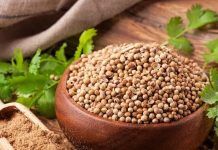 रोजाना खाली पेट पिएं 1 गिलास धनिए का पानी, शरीर को मिलेंगे 5 जबरदस्त फायदे