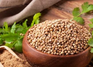 रोजाना खाली पेट पिएं 1 गिलास धनिए का पानी, शरीर को मिलेंगे 5 जबरदस्त फायदे