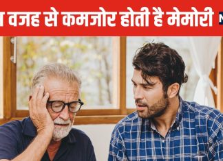 हर छोटी-बड़ी बात भूलने लगे हैं आप? कहीं यह ब्रेन से जुड़ी बीमारी का संकेत तो नहीं, इन लक्षणों से करें पता