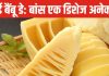 बांस से बनीं डिशेज खाई हैं क्या? इस घास से बिरयानी, चाय, चटनी और आचार सब बने मजेदार