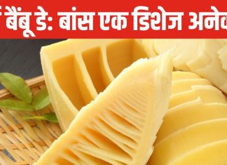 बांस से बनीं डिशेज खाई हैं क्या? इस घास से बिरयानी, चाय, चटनी और आचार सब बने मजेदार