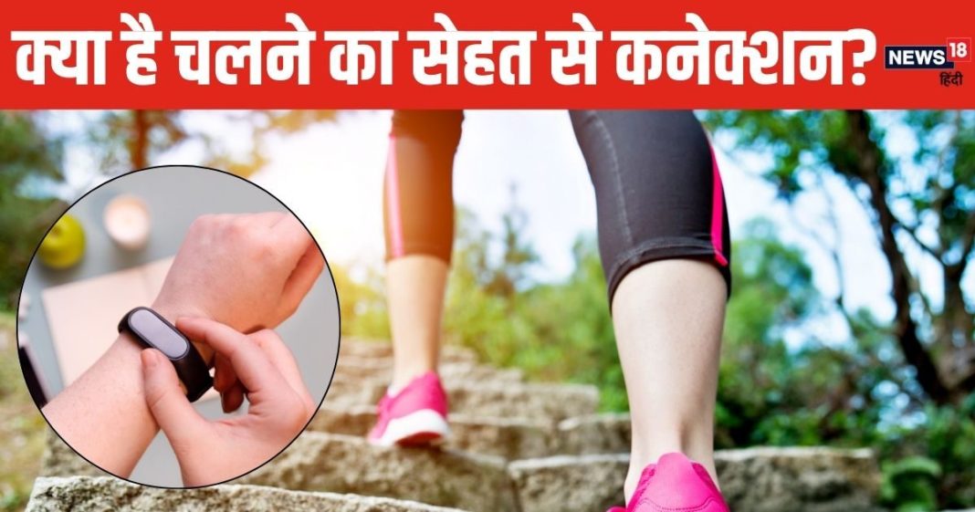 10,000 स्टेप्स से नहीं होते स्लिम! क्यों कदमों से जोड़ा गया सेहत का पैमाना? कितना सच, कितना फसाना