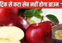 काटते ही भूरा हो जाता है Apple? लंच में देने से पहले धो दें इस एक चीज से, चार घंटे बाद भी ताजा रहेगा सेब