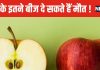 क्या सेब के बीज में जहर होता है? कितने बीज खाने से हो सकती है मौत, हकीकत जानकर रह जाएंगे दंग
