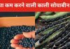 शुगर और वजन कंट्रोल करती है ये पहाड़ी दाल, क्या नाम जानते हैं आप? हेल्थ एक्सपर्ट से जानें फायदे