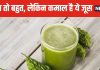 खून साफ करने की मशीन है इस सब्जी का जूस ! हद से ज्यादा कड़वा, लेकिन उससे भी ज्यादा फायदेमंद